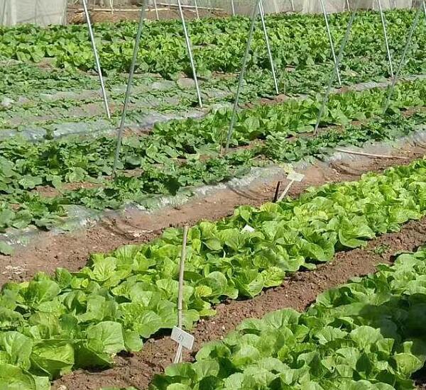 1760955915.jpg tupian_jidi21.jpg